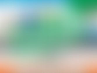 📰BIDDEFORD | 2 Bag Limit Takes Effect in 30 Days | Passed Unanimously