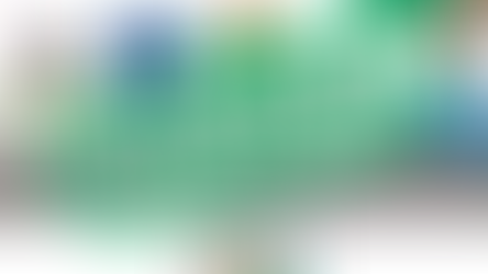 📰BIDDEFORD | 2 Bag Limit Takes Effect in 30 Days | Passed Unanimously