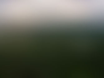 📰 250+ ACRES CONSERVED FOR PUBLIC RECREATION!