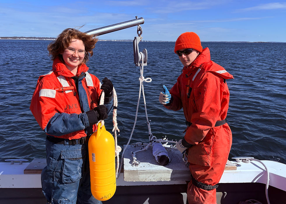 📰BIDDEFORD | UNE leads study to measure impacts of coastal engineering on Maine’s shoreline