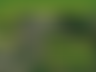 📰BIDDEFORD | OPINION: When a Development Moratorium Makes Sense