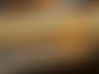 📰BIDDEFORD & SACO | Earth Day Events in Biddeford and Saco