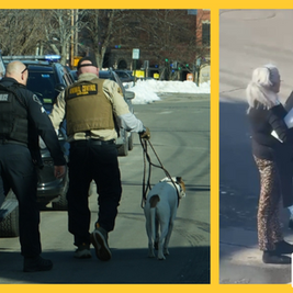 📰BIDDEFORD | Man Allegedly Bitten in Face By Dog | Seeds of Hope | Animal Control Called