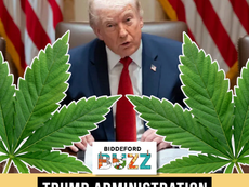📰MAINE | Trump Administration Reclassifies Medical Cannabis