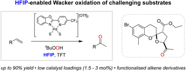 tert-Butyl hydroperoxide mediated Wacker-type oxidations: taking advantage of hexafluoro-2-propanol for challenging substrates 