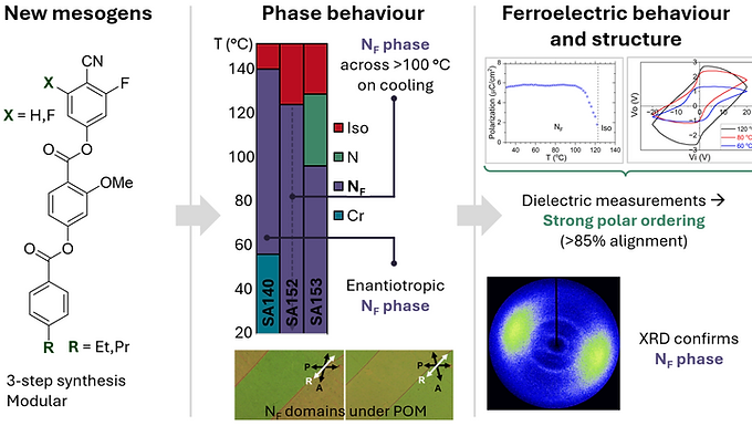 Rational Design, Synthesis and Characterization of Fluorinated Cyano-Terminated Diester Liquid Crystals Exhibiting the Ferroelectric Nematic Phase