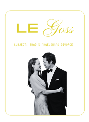 LE GOSS STYLE GUIDE (1)_edited.png