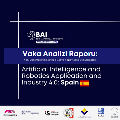 BAI Project Case Study Report: Bots and AI Application and Industry - Spain