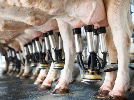 The Value of a Parlor Audit