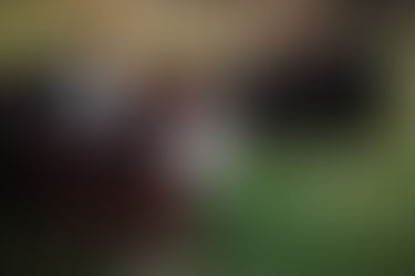 Working for Grass Turnout