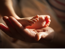 The First Weeks with Your Newborn: Calm, Confidence and Evidence-Based Care