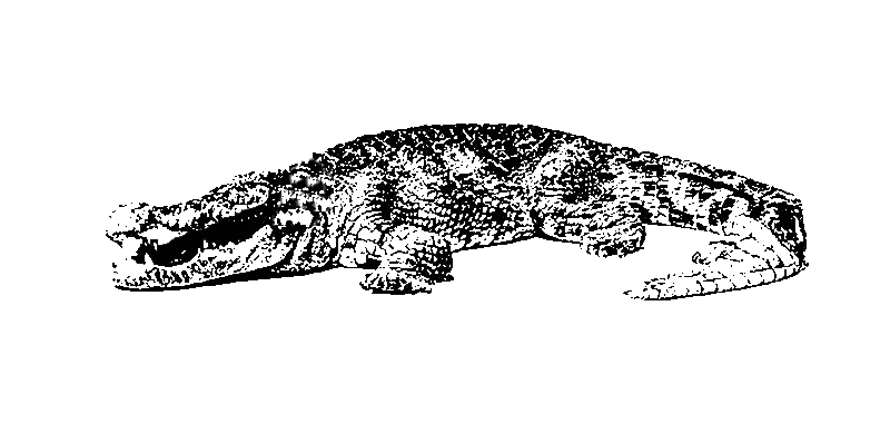 output_FINOpQ.gif