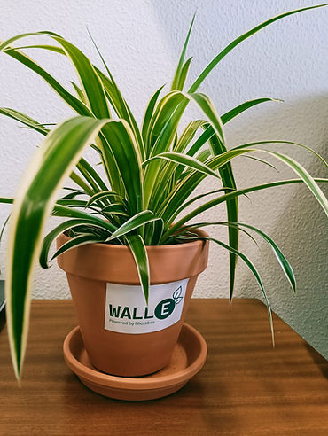 WhatsApp Image 2026-03-05 at 10.54.39.jpeg