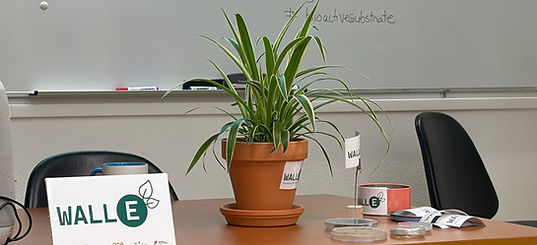 WhatsApp Image 2026-03-13 at 10.40.18.jpeg