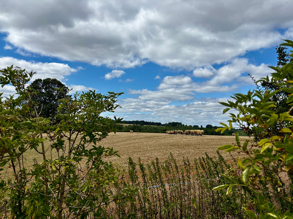 Northamptonshire Countryside