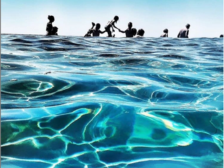 Pez en la cuarentena