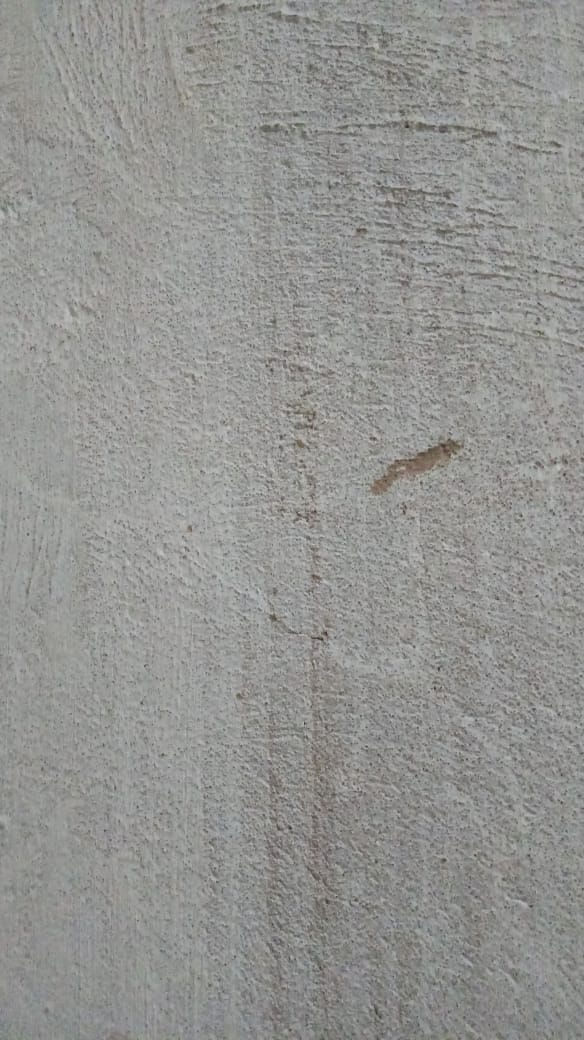 experimentos em casa