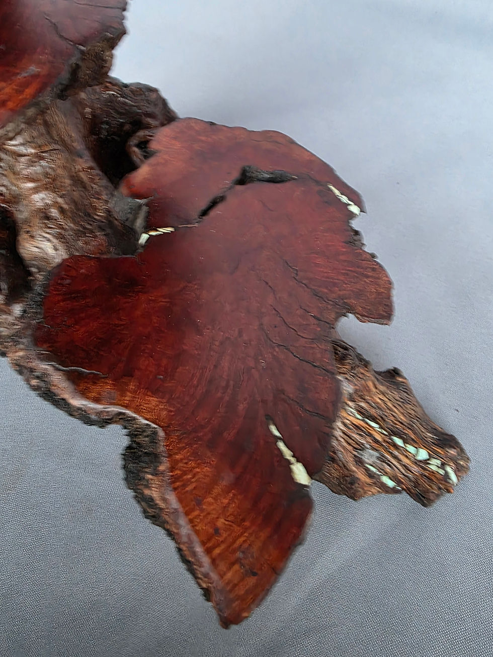 Thumbnail: Layered Manzanita Display Sculpture with Bright Blue Turquoise Inlay 