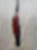 Manzanita Wood Phoenix Feather with Bright Blue Turquoise Inlay 