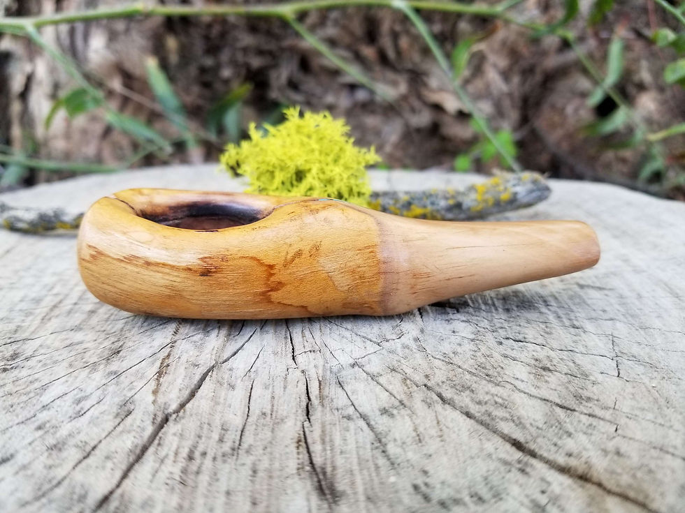Thumbnail: Mini Live Edge Manzanita Wood Smoking Pipe with Blue Turquoise Inlay
