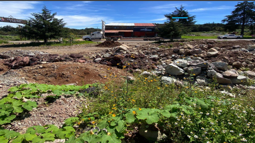 Miniatura: TERRENO EN VENTA EN HUASCA DE OCAMPO