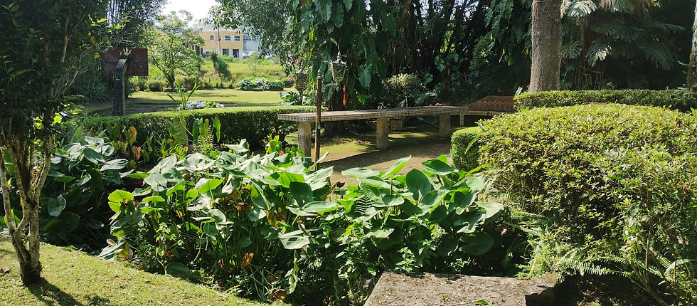 Miniatura: RESIDENCIA CON AMPLIO TERRENO EN VENTA EN XICOTEPEC DE JUÁREZ, PUEBLA
