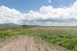 Miniatura: TERRENO EN VENTA SOBRE BLVD. LAS TORRES – MINERAL DE LA REFORMA, HIDALGO