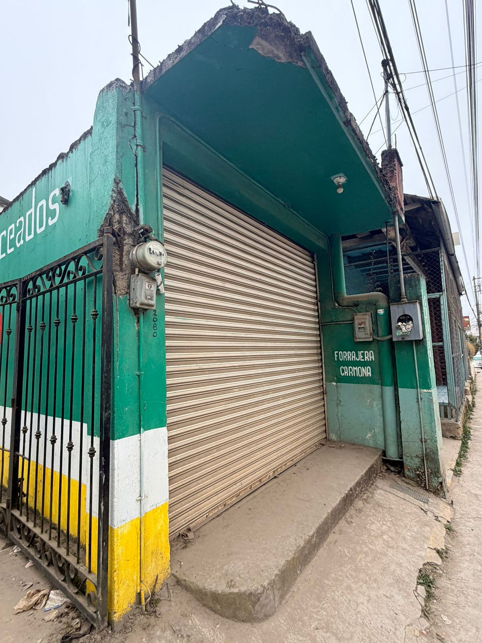 Miniatura: BODEGA EN RENTA, ZACUALTIPÁN, OCAMPO