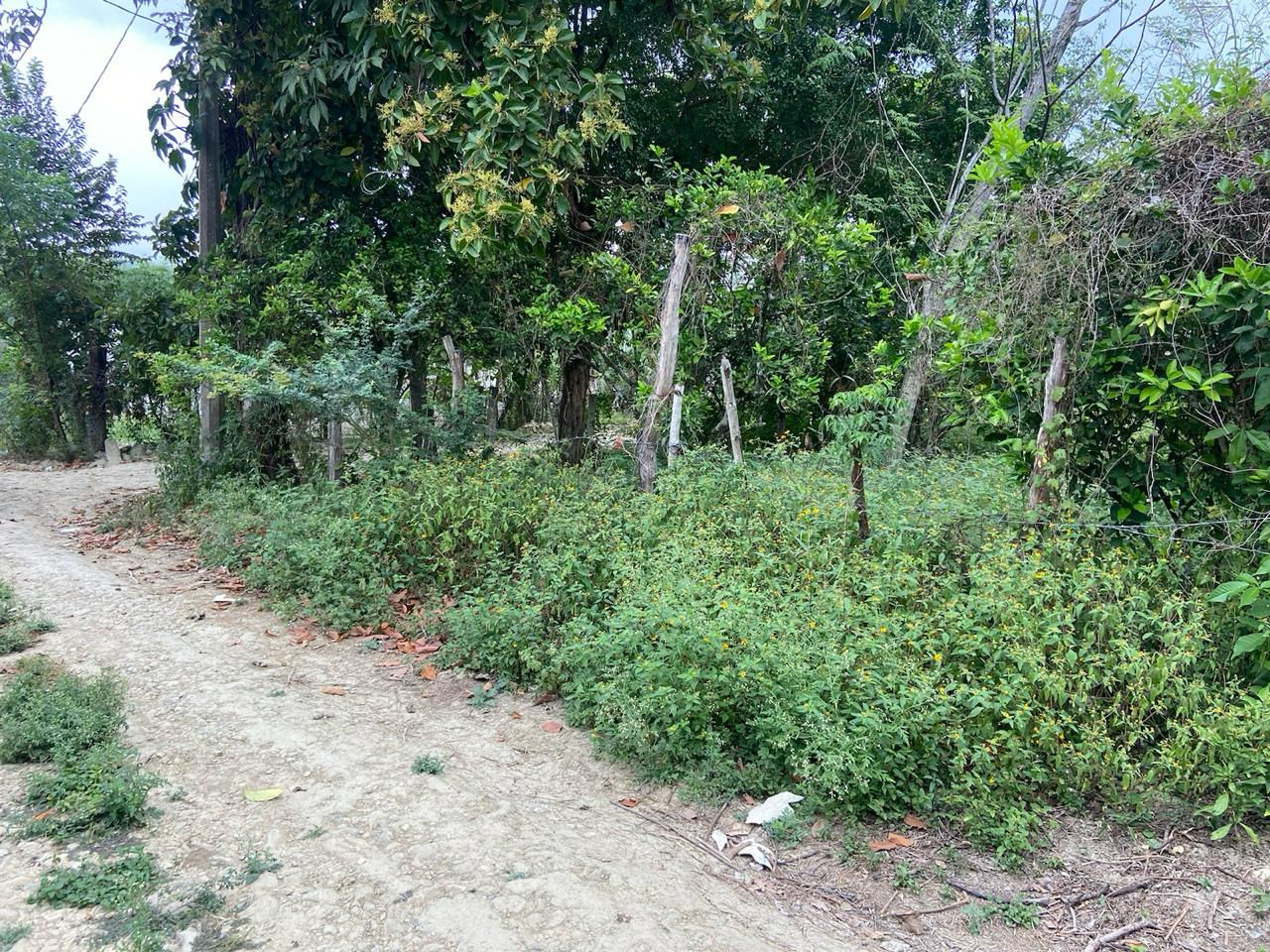 TERRENO EN VENTA COL. ZAPOTE, HUEJUTLA