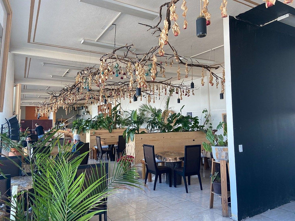 Miniatura: LOCAL COMERCIAL EN RENTA EN PLANTA BAJA EN TULA -ITURBE