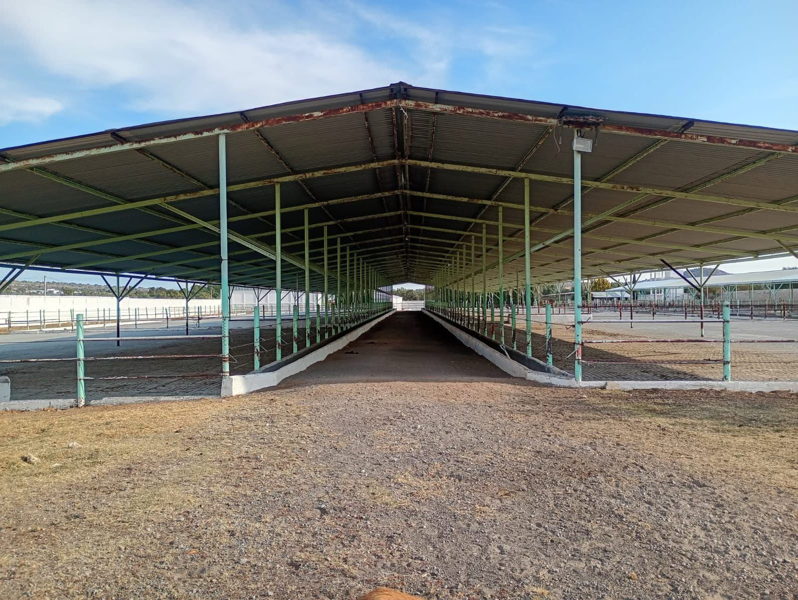 RANCHO GANADERO EN VENTA EN ESTADO DE MÉXICO