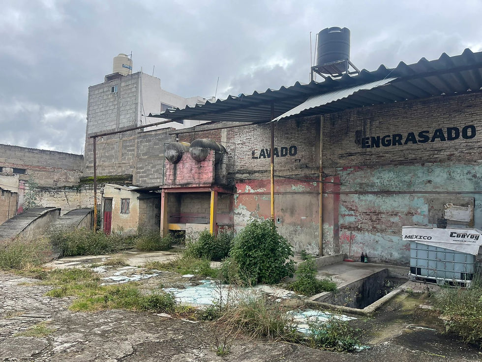 Miniatura: TERRENO COMERCIAL EN RENTA TULANCINGO