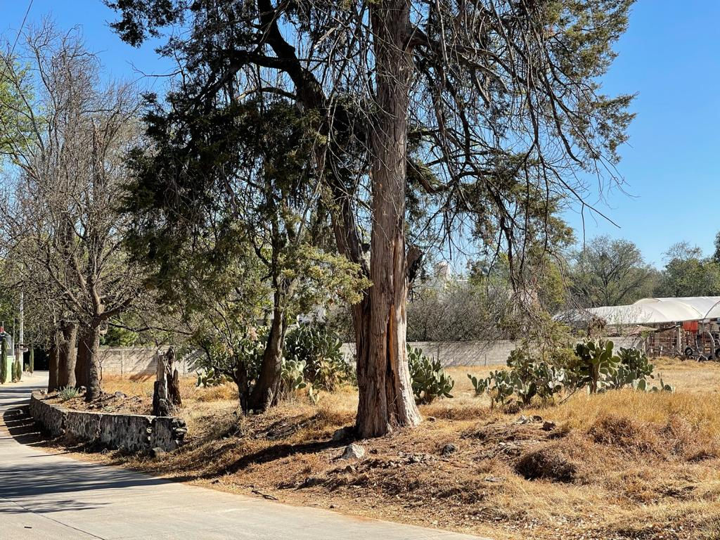 TERRENO EN CAMINO A LOS REYES, ATOTONILCO