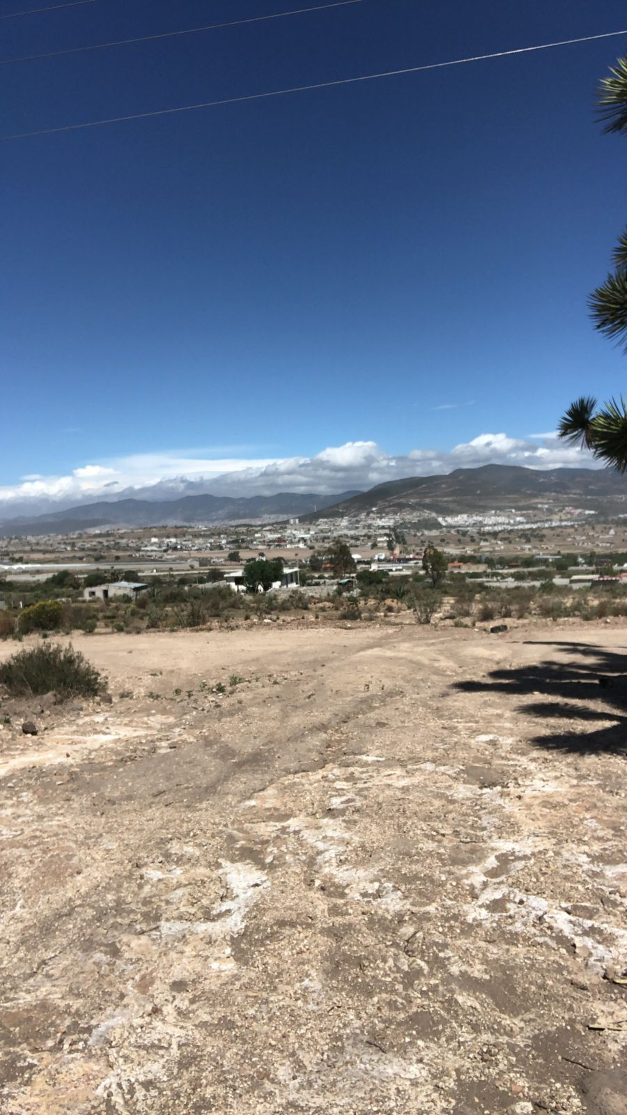 Miniatura: TERRENO EN VENTA EN SAN A. TLAXIACA, HGO.