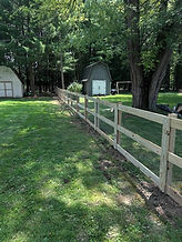 IMG_1026.jpg