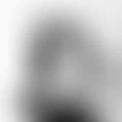 Family Photographer Newark