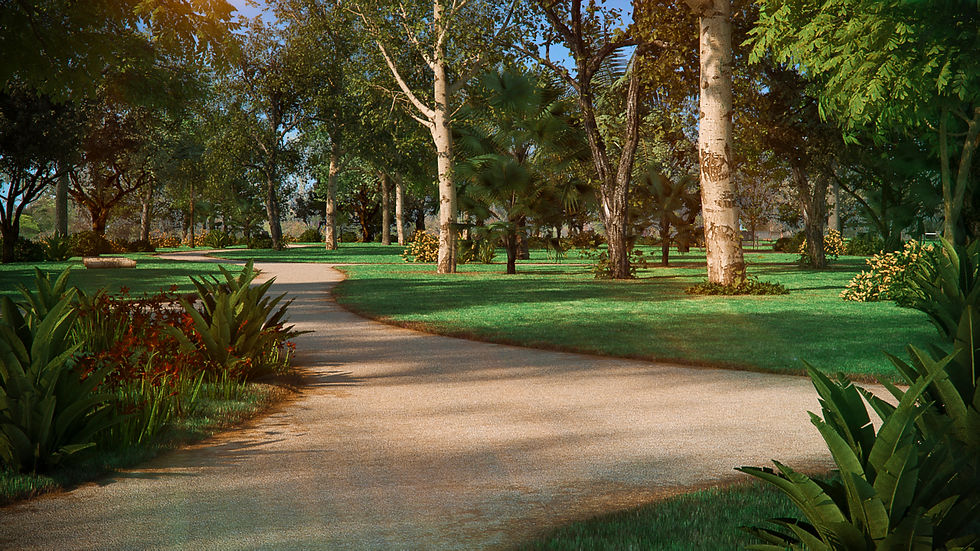Tiner - Terrara_Bosque.jpg