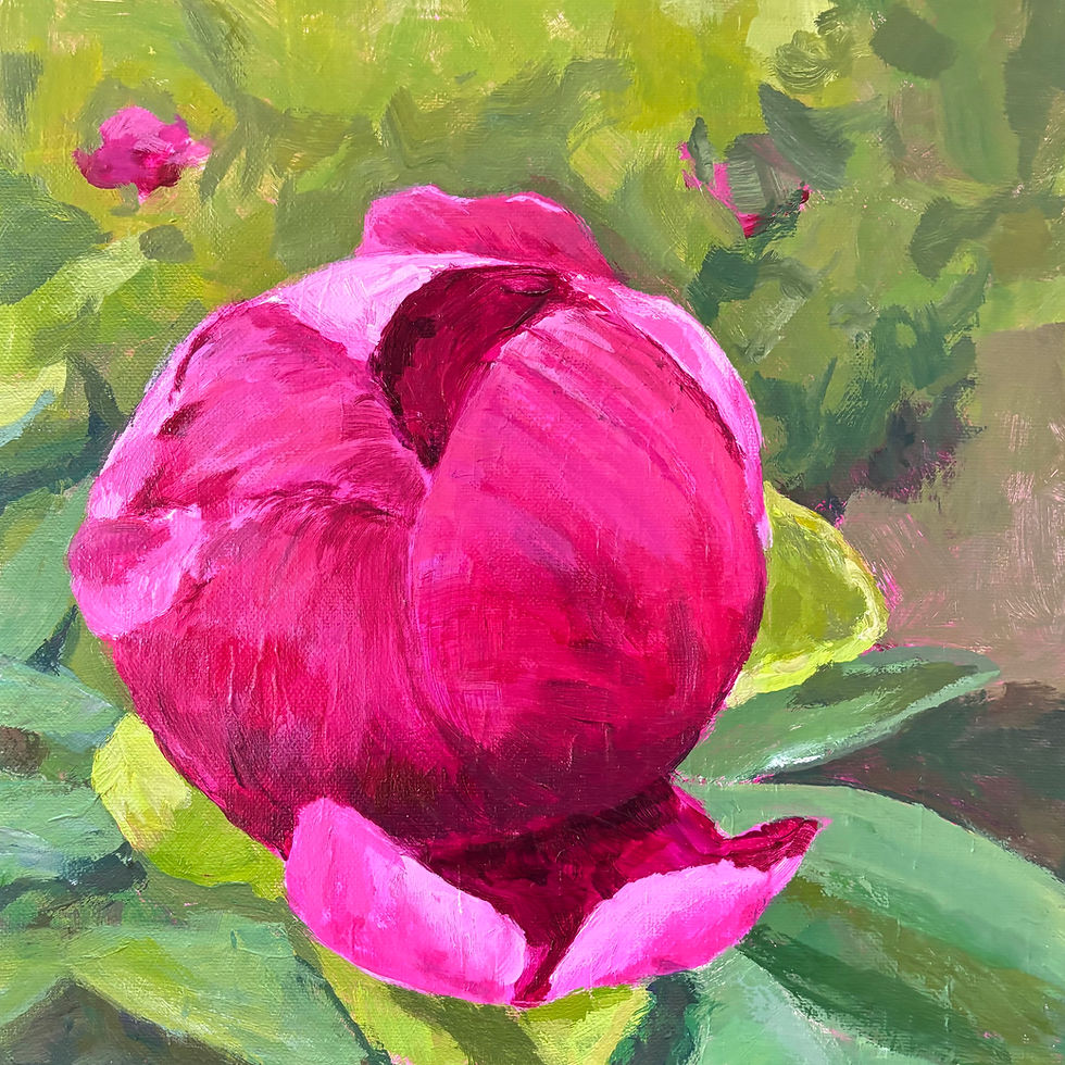 acrylic painting of a peony about to bloom