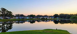 Suncrest15