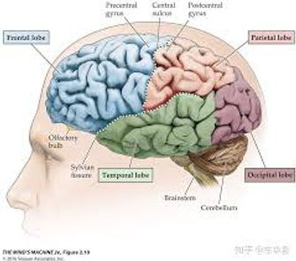 39867756-9f2e-4c5d-86cd-7ecb7434c437.jpe