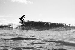 IMG_770211