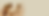 banner interno cafila2.png