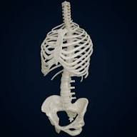 A Clinically Important But Largely Missed Concept in Chiropractic Technique.