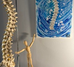 The Importance of Bio-Hydraulic Concepts in Chiropractic Practice