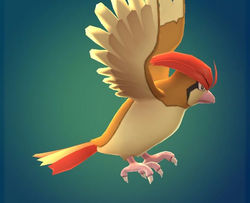 Pidgeotto Perfil Derecho