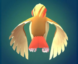 Pidgeot Espalda