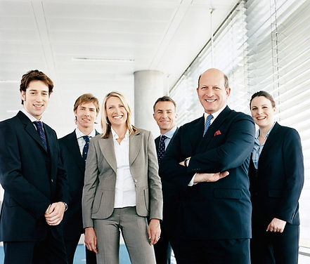 group of business professionals