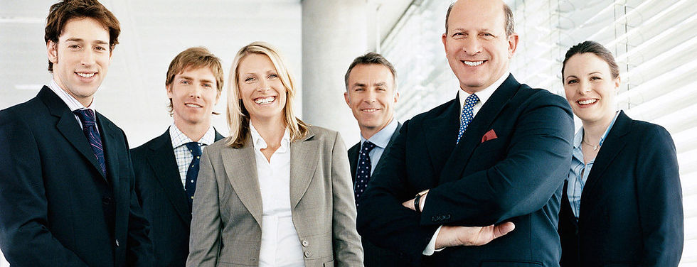 group of business professionals