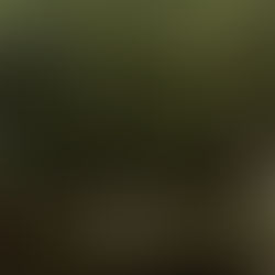 VESTUVĖS 09.05 - 2025