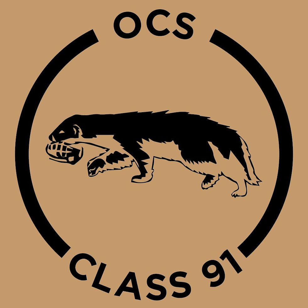 OCS CLASS 91